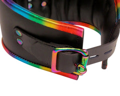 Deluxe Padded Black Leather Posture Collar - Multiple Color Options