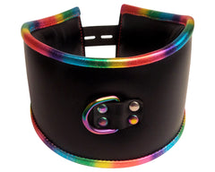 Rainbow Padded Leather Lockable Posture Collar