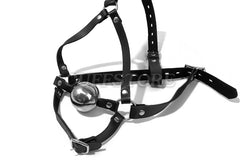 Lockable Open Mouth Ball Gag Leather Harness